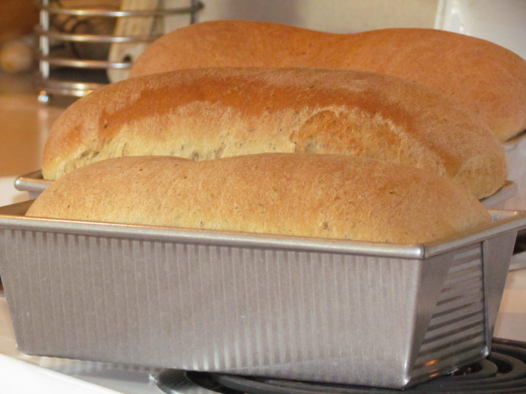 A step-by-step tutorial to make the tastiest homemade wheat bread you've ever had! It's simpler than you think. #realfood