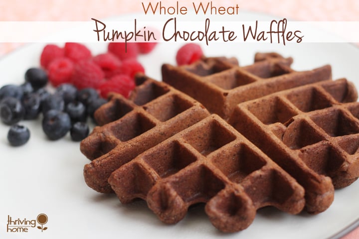 healthy whole wheat pumpkin chocolate waffle recipe