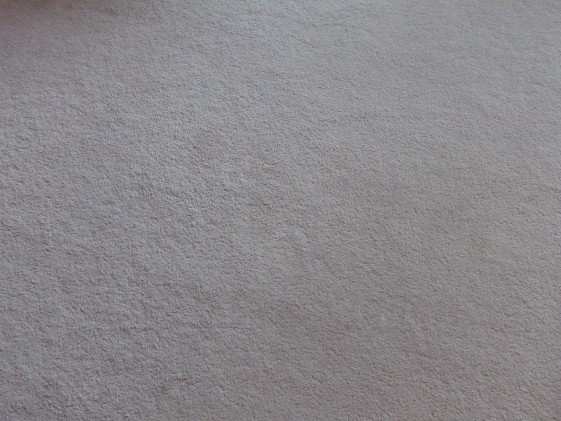 DIY All-Natural Carpet Cleaner - homemade and non-toxic