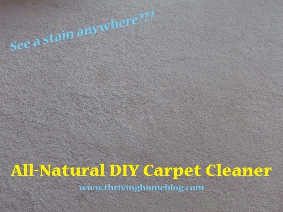 DIY All-Natural Carpet Cleaner - homemade and non-toxic