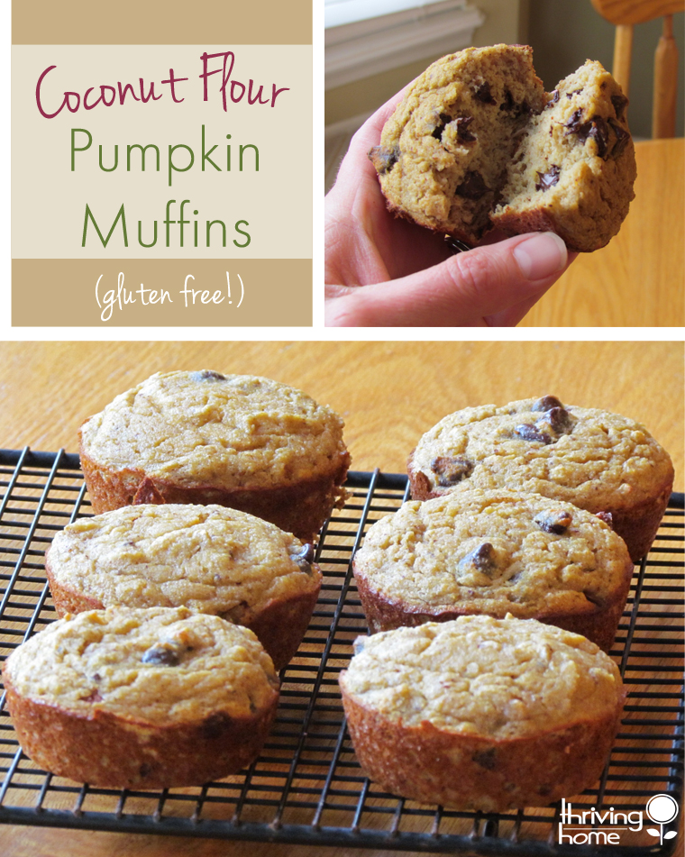 These hearty, delicious muffins are gluten free and packed with ingredients that you can feel good about eating. 