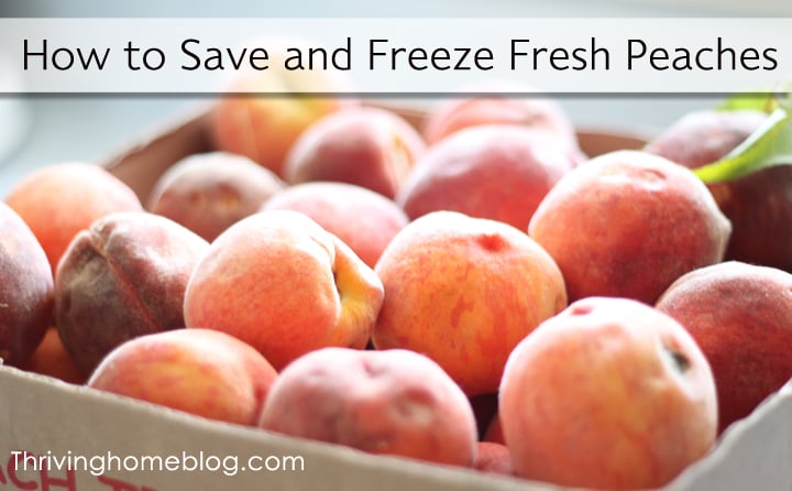 Do you have an excess of fresh peaches? Try this simple method for freezing them. You'll enjoy those peaches all year long!