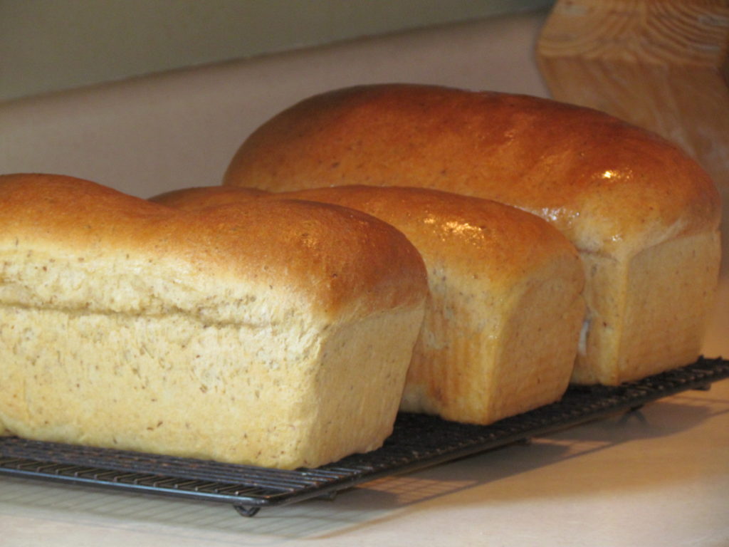 Homemade wheat sandwich bread