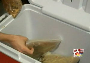 how to start a freezer club