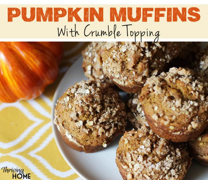 http://thrivinghomeblog.com/wp-content/uploads/2014/09/pumpkin-muffin-recipe2.jpg