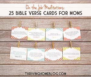 On the Job Meditations: 25 Bible Verse Cards for Moms