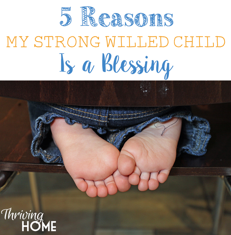 5 reasons my strong willed child is a blessing. Some great perspective for parents who are struggling to parent a "firecracker kid."