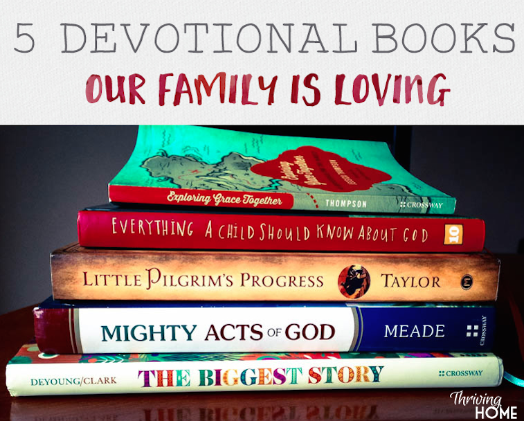 These God-centered, grace-centered books have helped our family have a bigger, truer view of our God this past year.