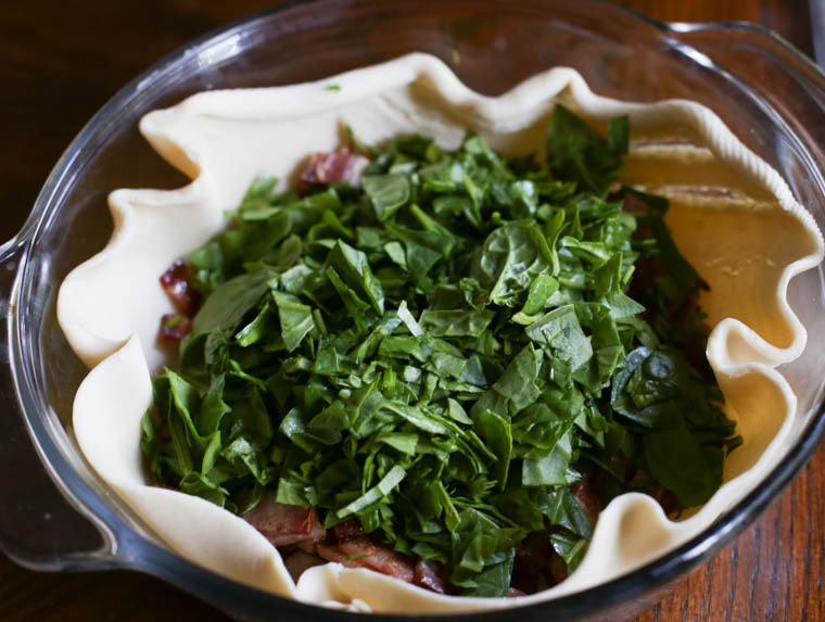 spinach and bacon in a pie crust in a pie dish