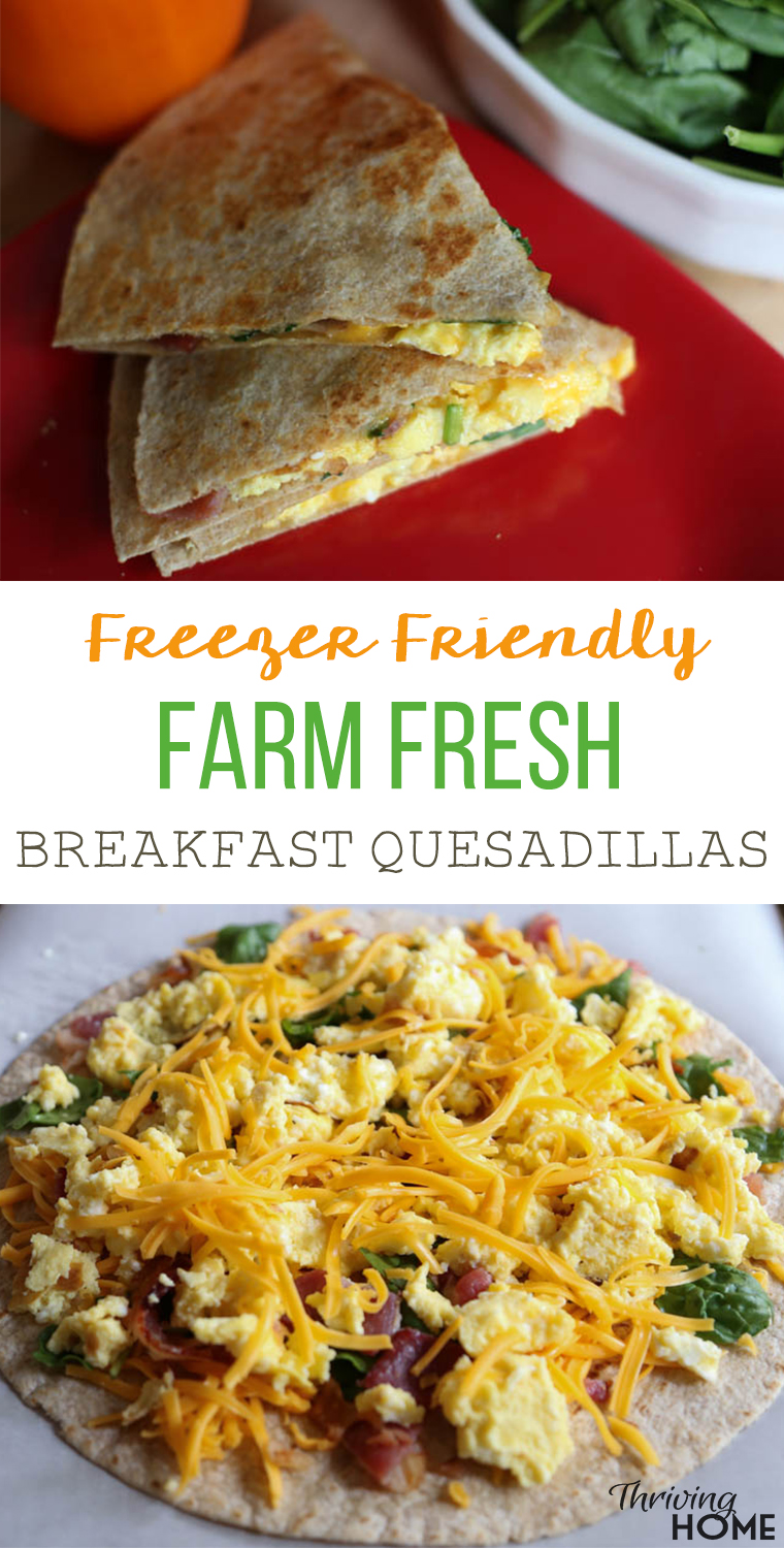Freezer Friendly, Farm Fresh Breakfast Quesadillas. A simple, kid-friendly, healthy breakfast idea that anyone can make. Kids love that they can be customized and love to help assemble them. Make lots and freeze them for later! 