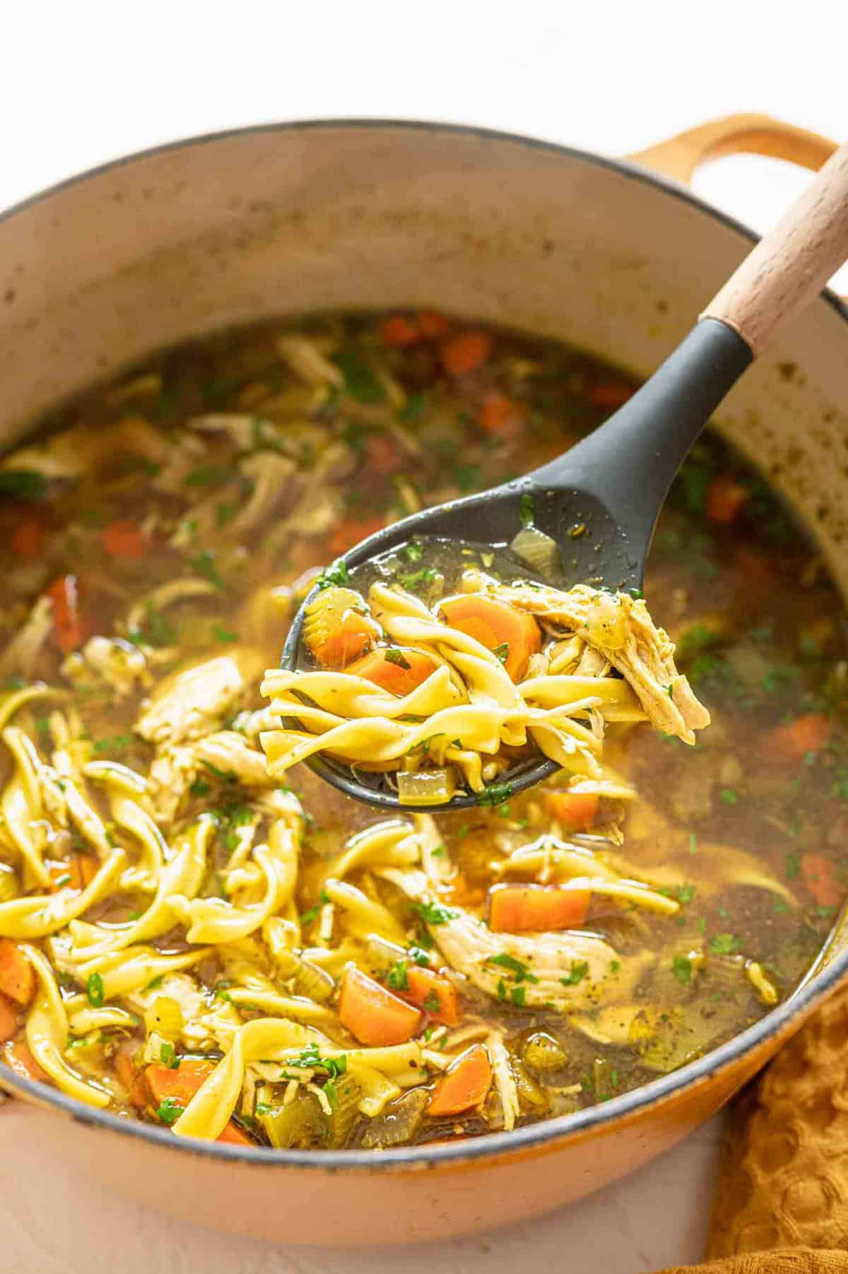 healthy chicken noodle soup in a large stock pot.