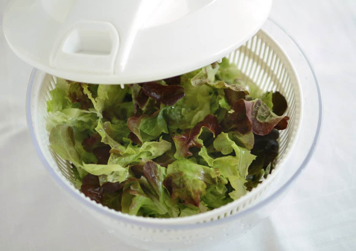 Lettuce in salad spinner.