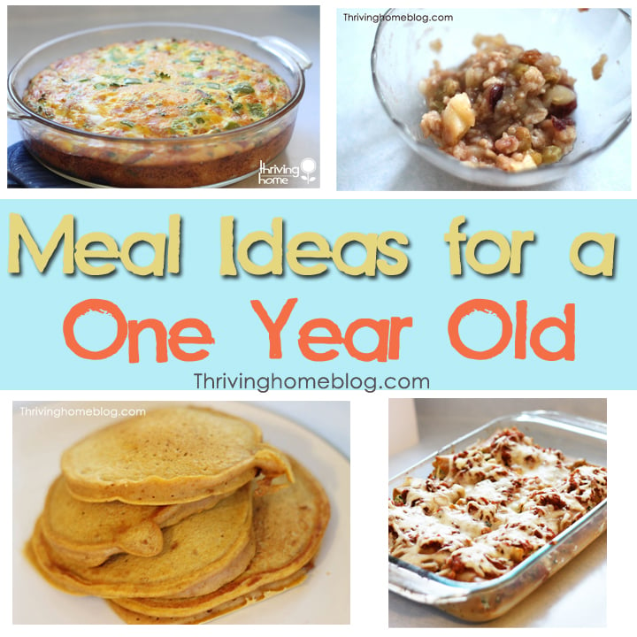 meal ideas for a one year old