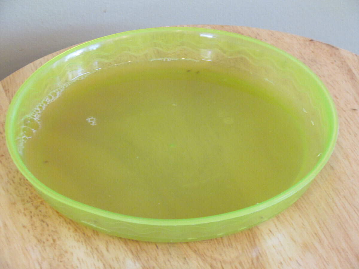 Easy DIY Fruitfly Trap in a bowl.