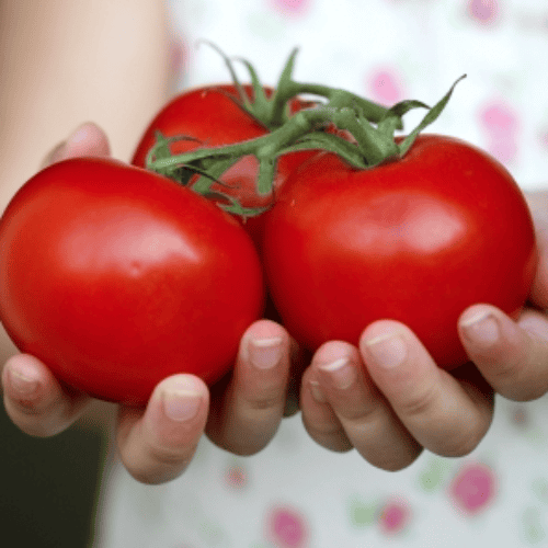 3 Key Ways to Save Money and Eat Healthier