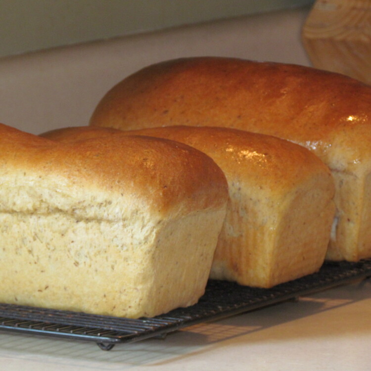 homemade wheat sandwich bread