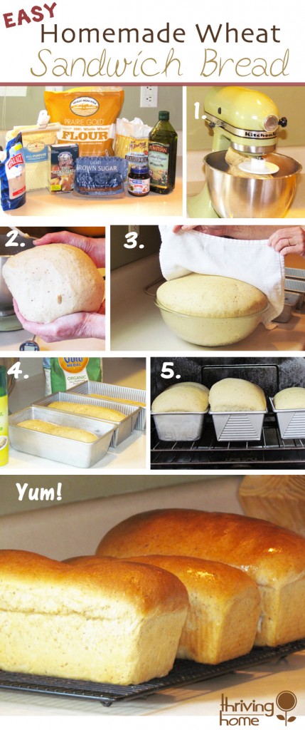 Step-by-step tutorial to make homemade sandwich bread 