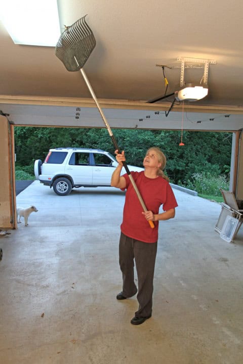 How To Get A Hummingbird Out Of Garage Thriving Home How To Get A Hummingbird Out Of Garage
