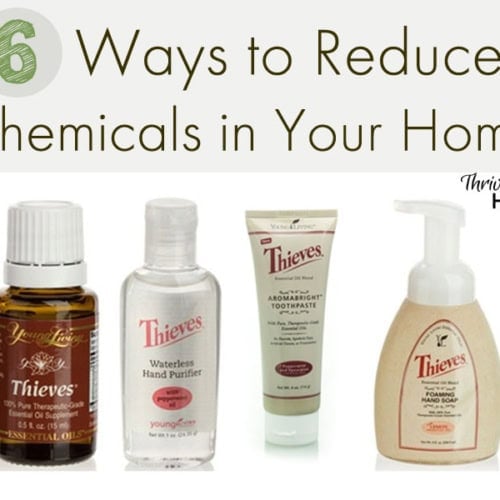 6 Ways to Reduce Chemicals in Your Home