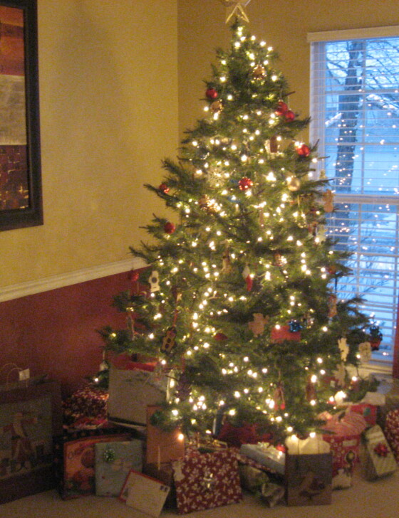 Real Christmas tree lit up in a living room.