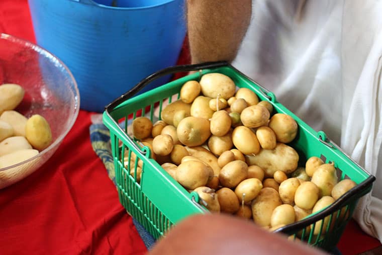 garden potatoes