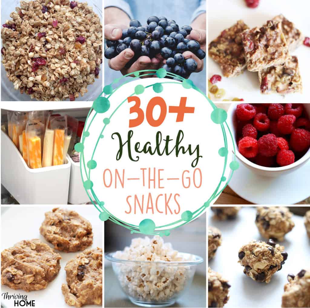 30+ Healthy On-the-Go Snacks (and How I Get My Family To Eat 