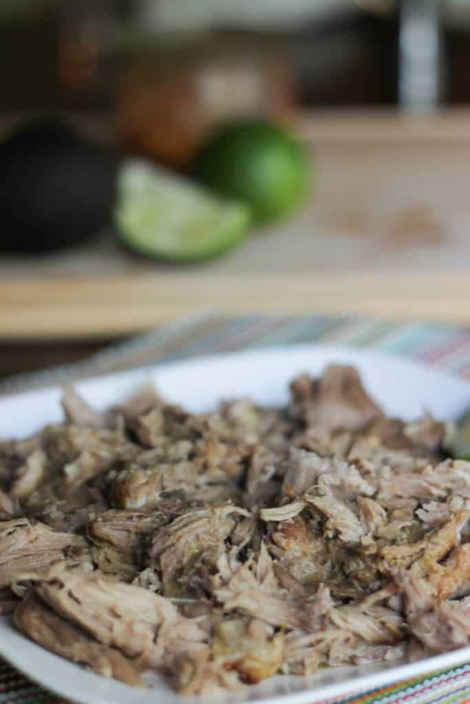 Pulled Pork with a Mexican Flare (Freezer Meal)