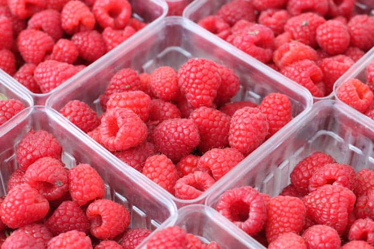 Stocking Up on Summer Produce Farmers Market 12