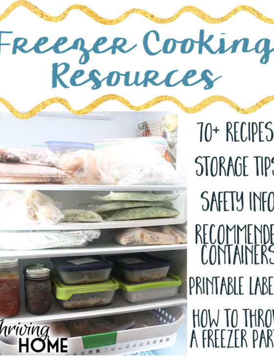 A great collection of freezer meal cooking resources. Loads of information including 70+ freezer meal recipes, how to throw a freezer party, how to store, save and thaw freezer meals and more.