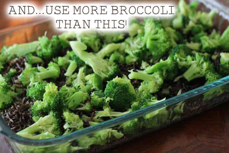Broccoli and Wild Rice Casserole {Freezer Meal} Thriving Home