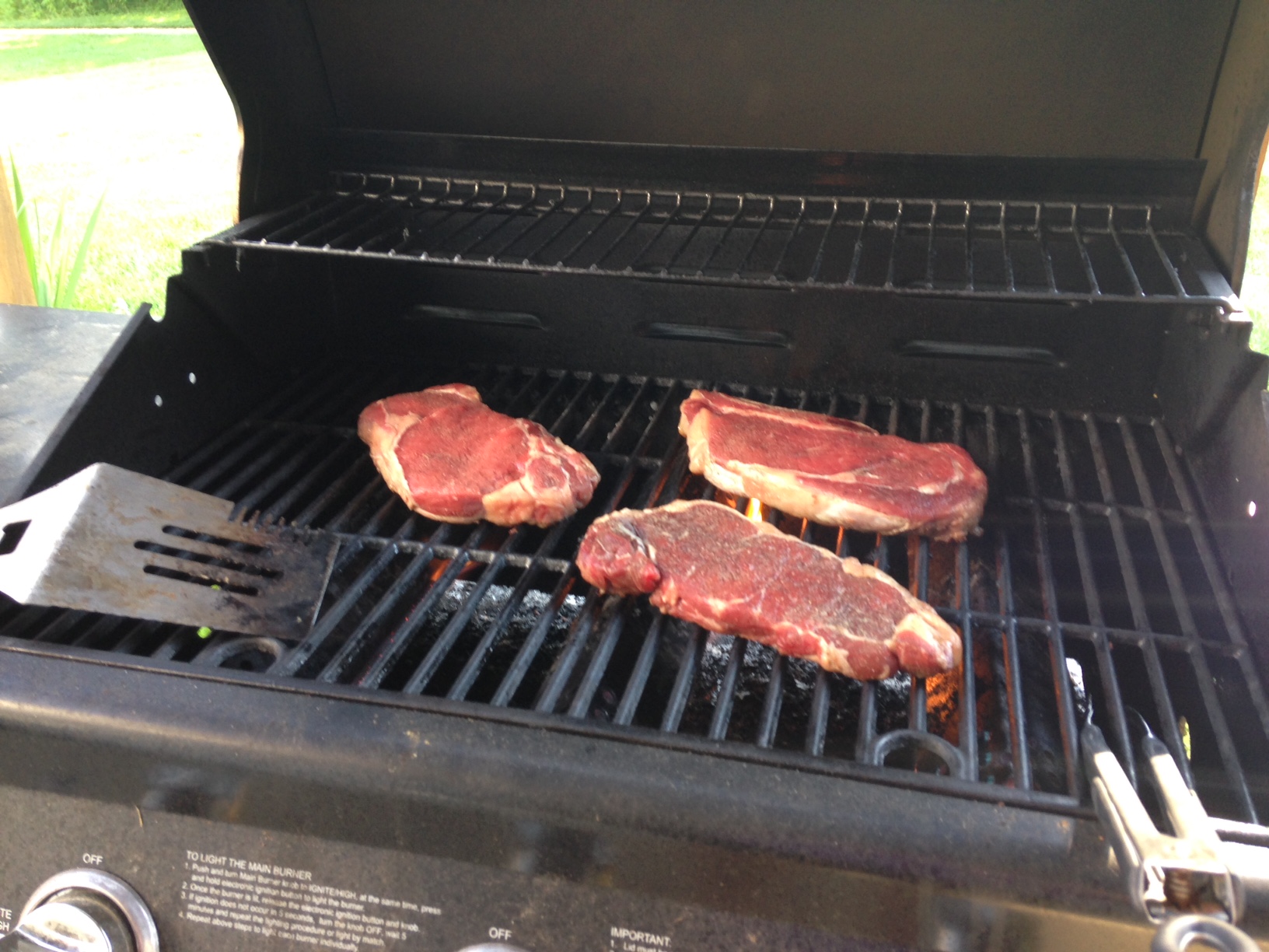Steaks on the grill 