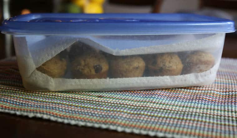 Storage container of muffins with paper towels on the top and bottom of them ready for the freezer.