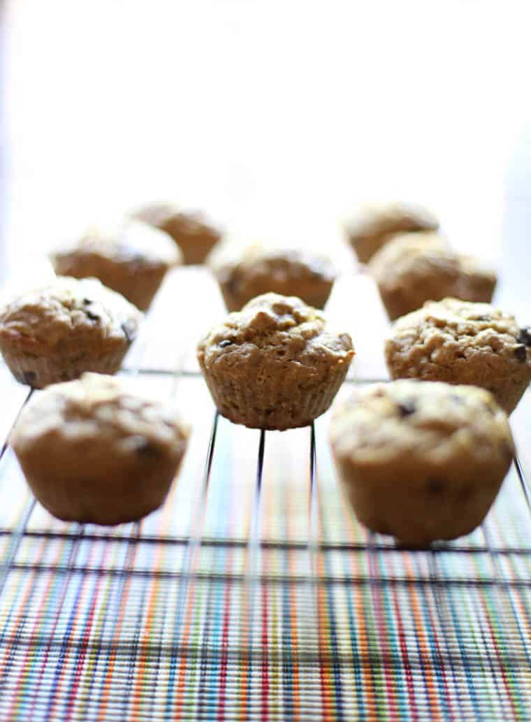 Muffins cooling for the freezer