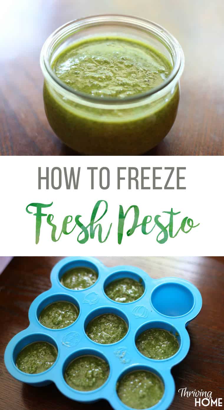 how-to-make-and-freeze-fresh-pesto-thriving-home