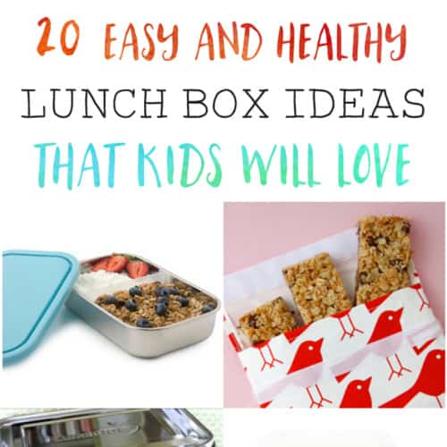 20 Easy and Healthy Lunch Box Ideas for Kids - Delicious mostly "real food" lunch box ideas that your kids will actually eat!