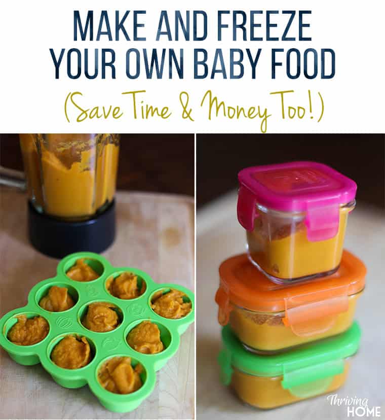 saving money making baby food