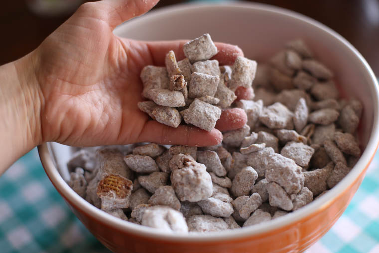 Hand holding some puppy chow above a full bowl of it.