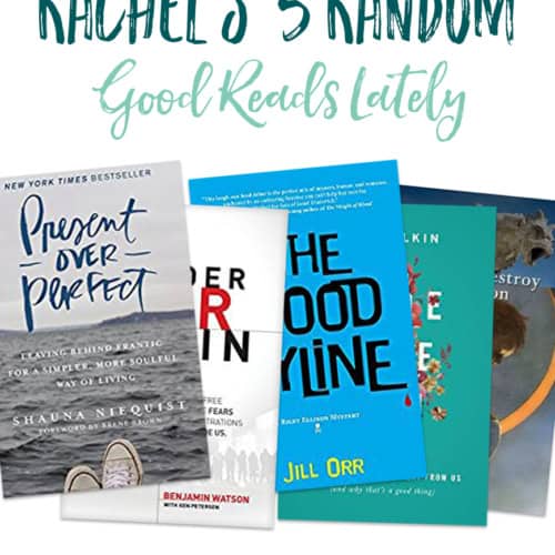 These 5 random books are among some of my favorites recently. See why I liked them in this post.