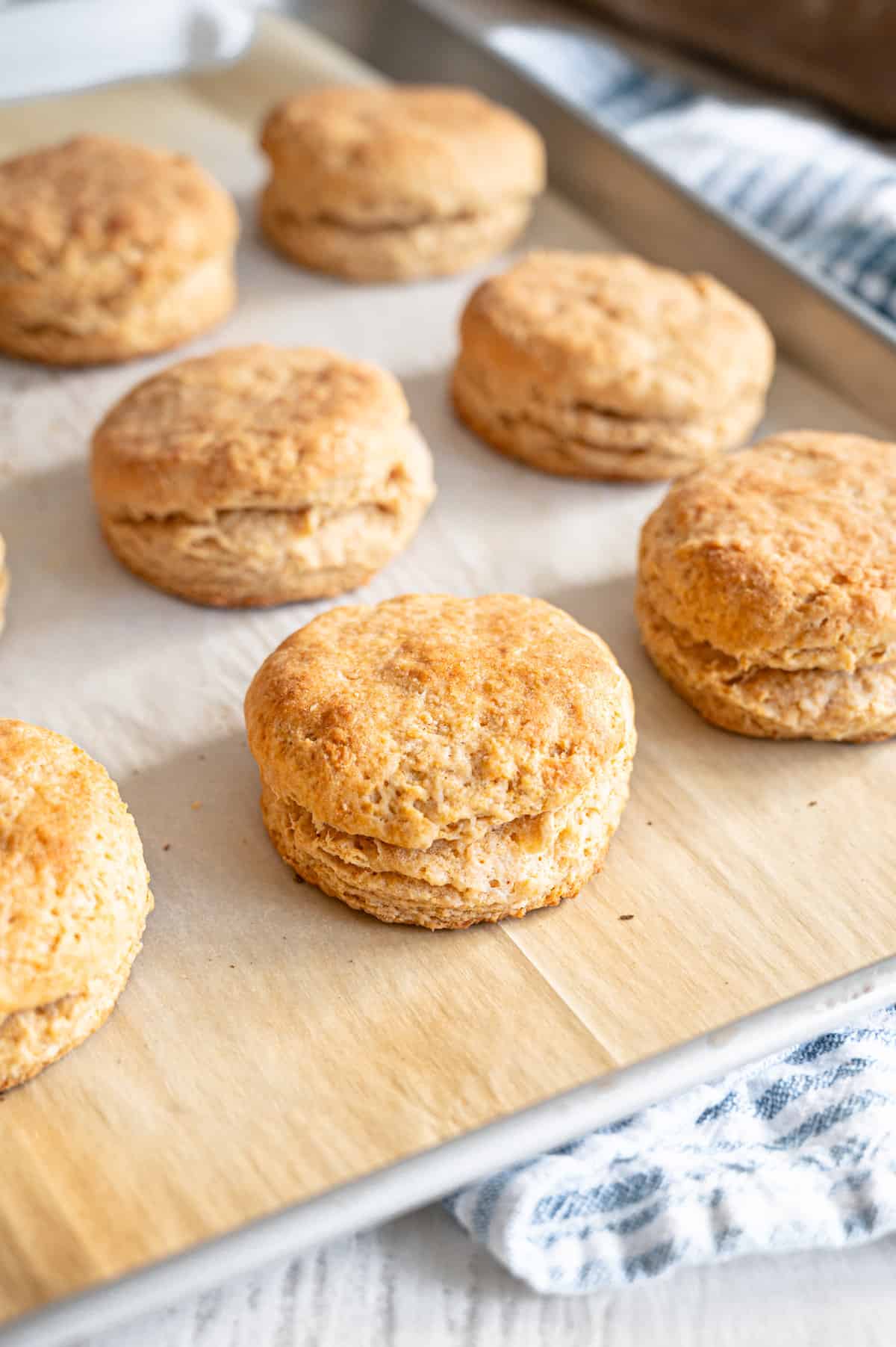 Whole wheat buttermilk biscuits on a sheet pan.