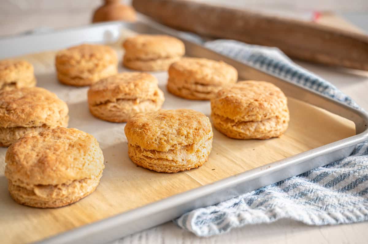 Whole wheat buttermilk biscuits on a sheet pan.