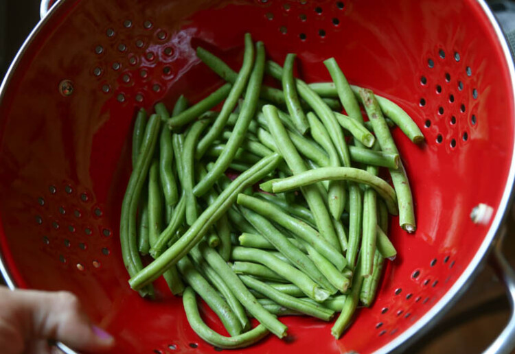 Easy Garlicky Green Bean Recipe