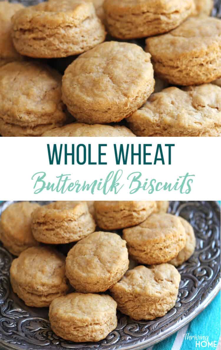 Whole Wheat Buttermilk Biscuits {Freezer Meal} Thriving Home