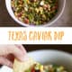 This Texas Caviar Dip is the BEST appetizer. The simple, homemade dressing that you add gives it the perfect sweet, tangy flavor that will have your crowd coming back for more!
