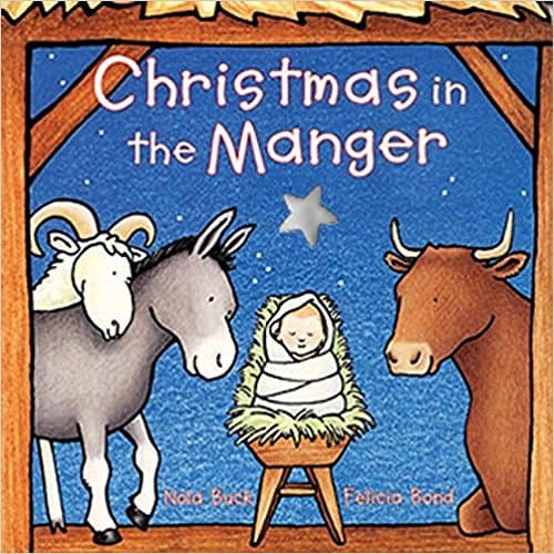 Chirstmas in a Manger