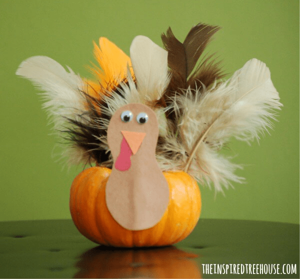 A mini pumpkin with feathers glued to the back and a head made of construction paper.