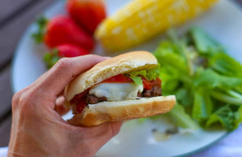 Pesto burger in a hand