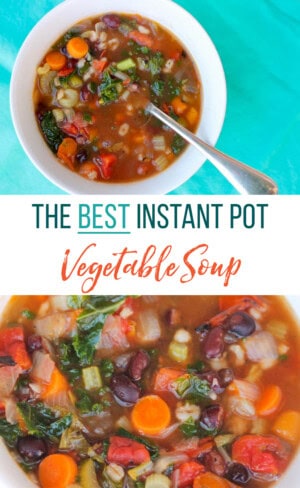 Instant Pot Vegetable Soup - Thriving Home