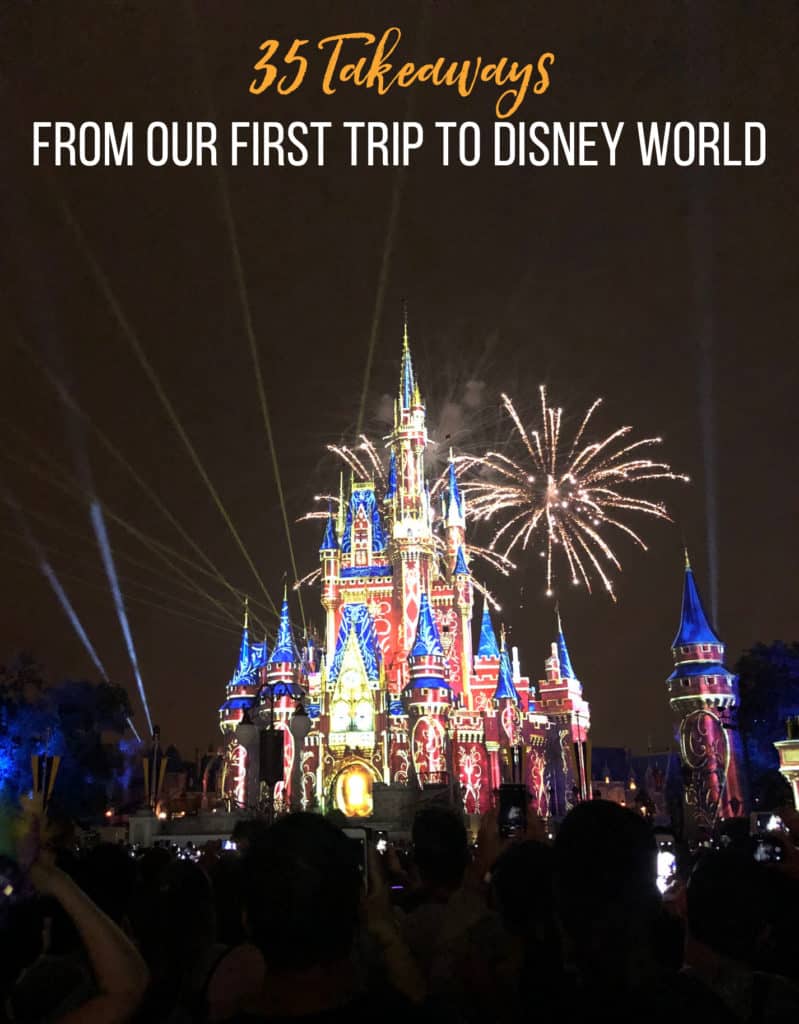 Disney World Fireworks