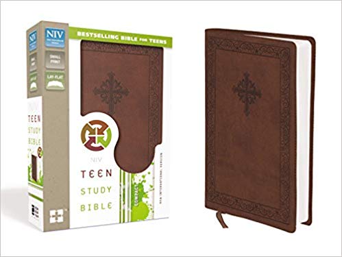 NIV Teen Study Bible