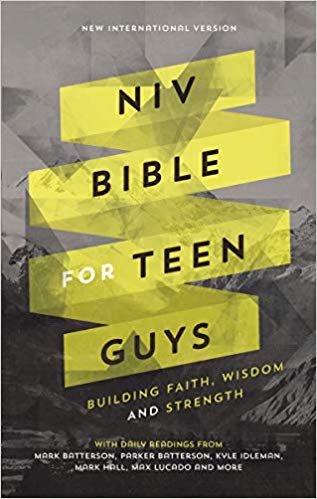 NIV Bible for Teen guys